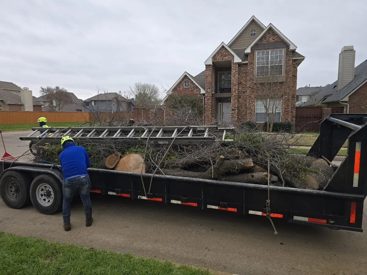 Expert Tree Fertilization with proper safety equipment in Hinckley
